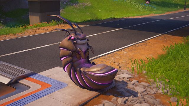 Roly Poly Fortnite