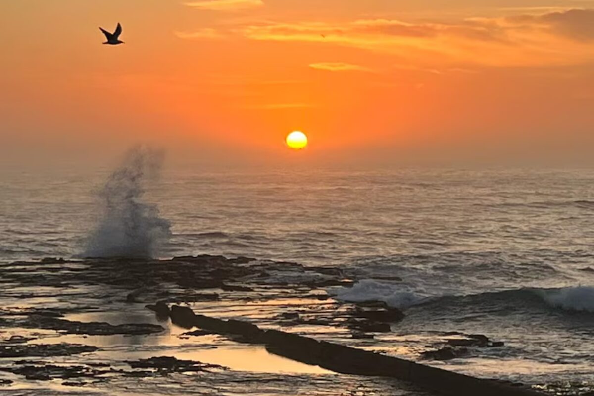 The Heatwave Is About to Completely Change the Aussie Weekend Sport Vibe