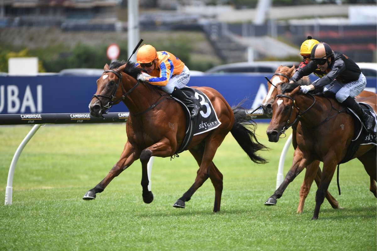 High Stakes at Ellerslie: The Ultimate Guide to the Karaka Millions 2026 Filly Contenders