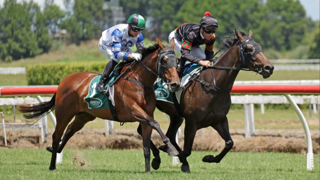 Karaka Millions 2026 analysis