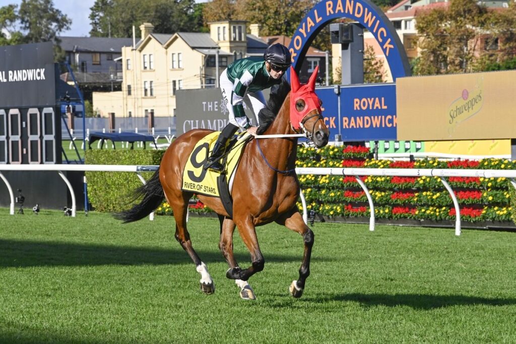 2025 Melbourne Cup Results 